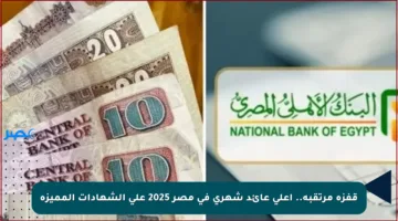 قفزة مرتقبة.. أعلى عائد شهري في مصر 2025 على الشهادات المميزة